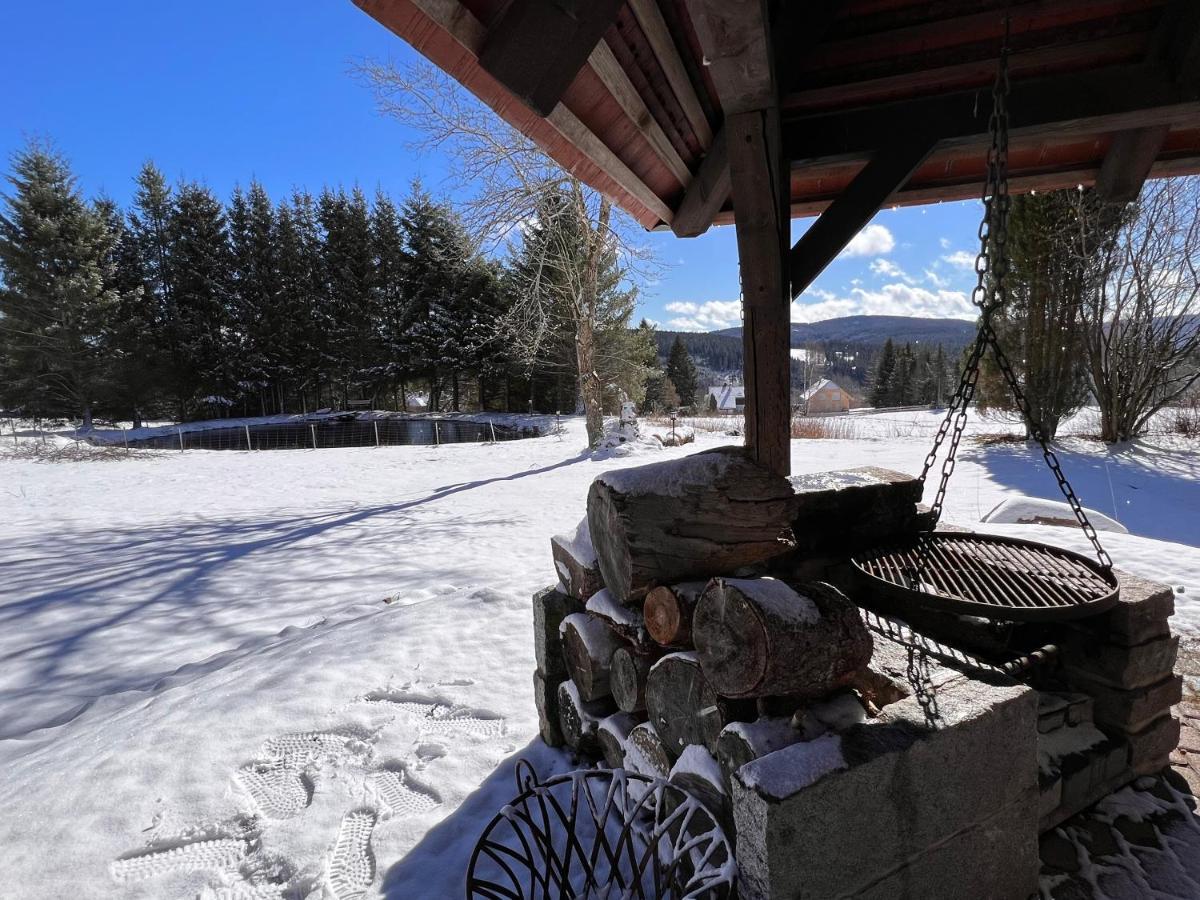 Ferienwohnung Im Hubertushof Feldberg  Bagian luar foto